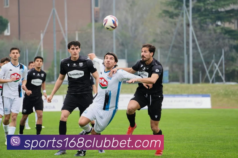 168体育APP 高清赛事图